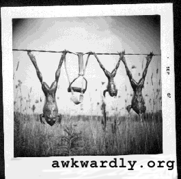 click here for awkwardly.org